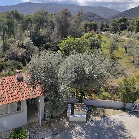 Apartment Tasos